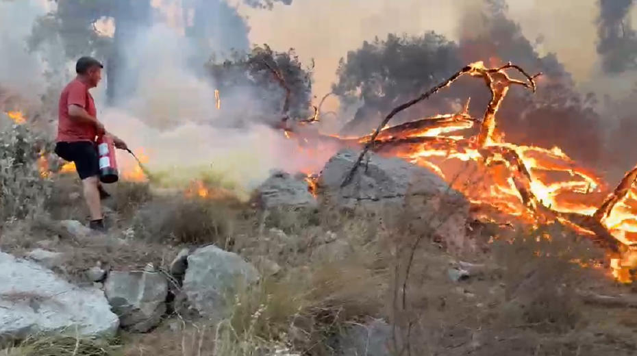 Antalya'daki Orman Yangınına Halkın ve Gönüllülerin Özverili Müdahalesi