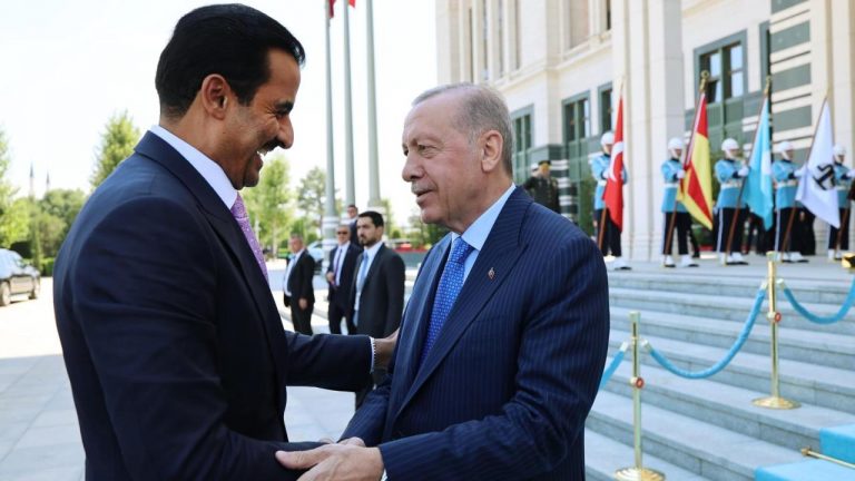 Cumhurbaşkanı Erdoğan Al Sani ile görüştü