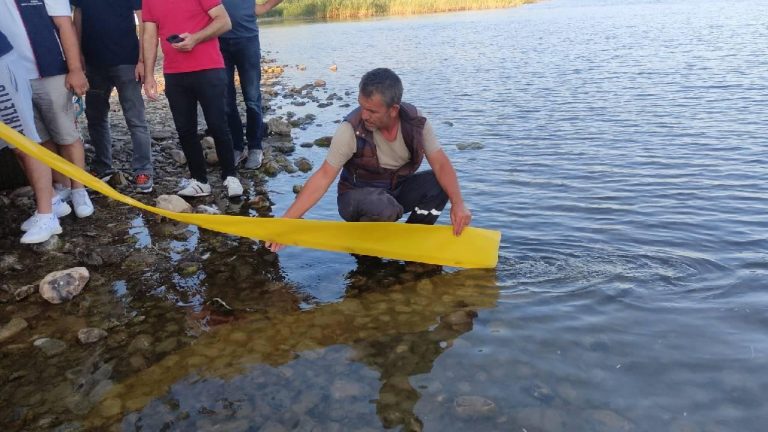 Bursa'nın göl ve göletlerine 3 milyon 350 bin sazan yavrusu bırakıldı