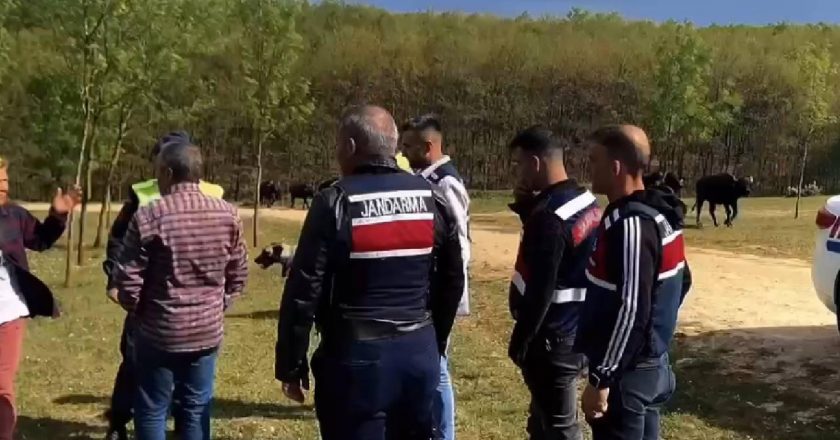 Tekirdağ'da çeşitli suçlardan aranan 32 şüpheli tutuklandı