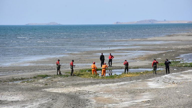 Van'da kaybolan genç kadını arama çalışmaları sürüyor