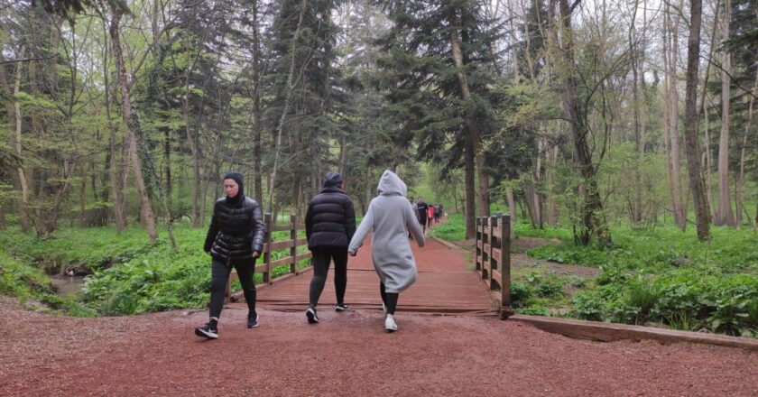 Tarım ve Orman Bakanlığı’ndan “Belgrad Ormanı” Açıklaması