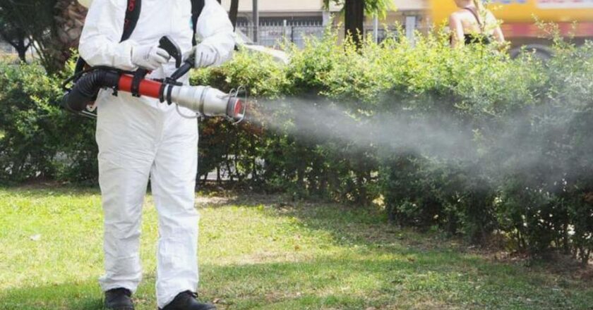 Ankara Böcek İlaçlama Hizmetleri ile Sağlıklı Yaşam Alanları