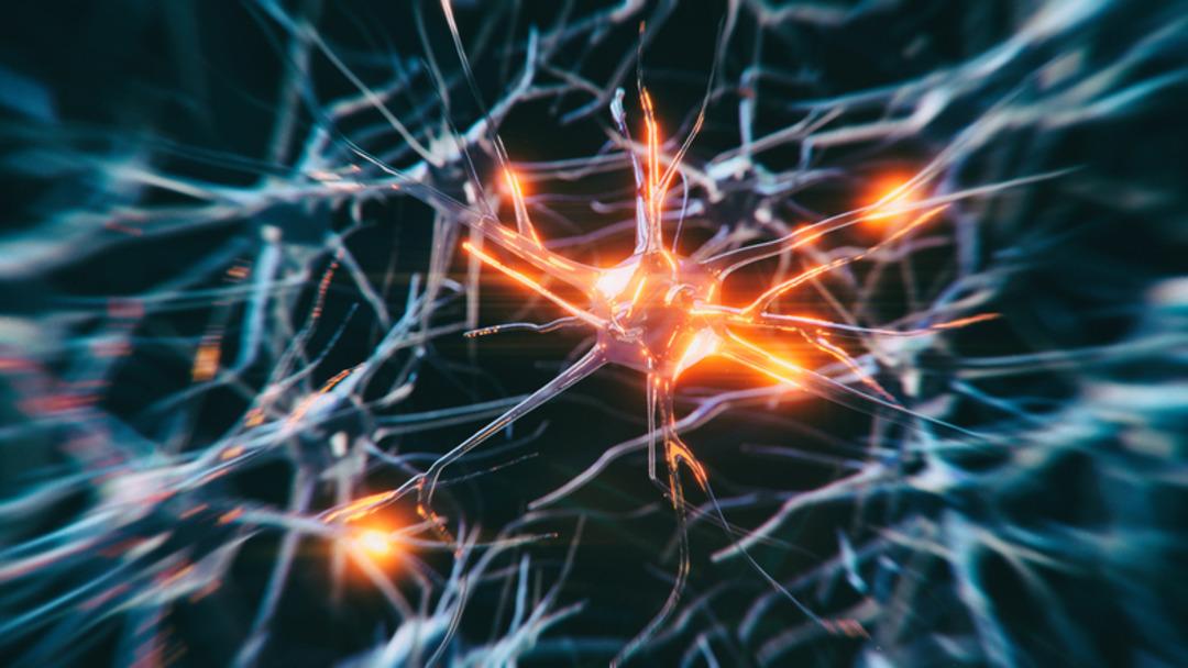 Harvard'dan şaşırtıcı yeni araştırmalar: Alzheimer tedavisine karşı yeni umut! Uzmanlar: 