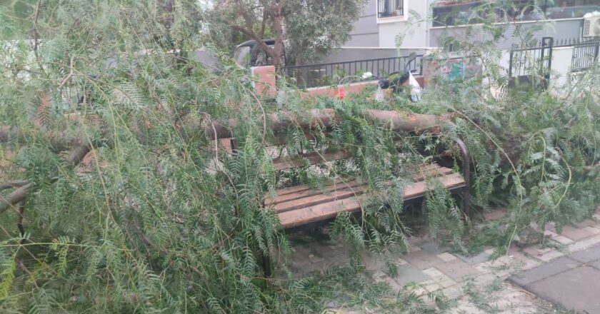 İzmir’de devrilen ağacın altında kalan 2 kişi yaralandı