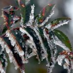 Tarım Üreticilerine 22,9 Milyar Lira Destek Müjdesi