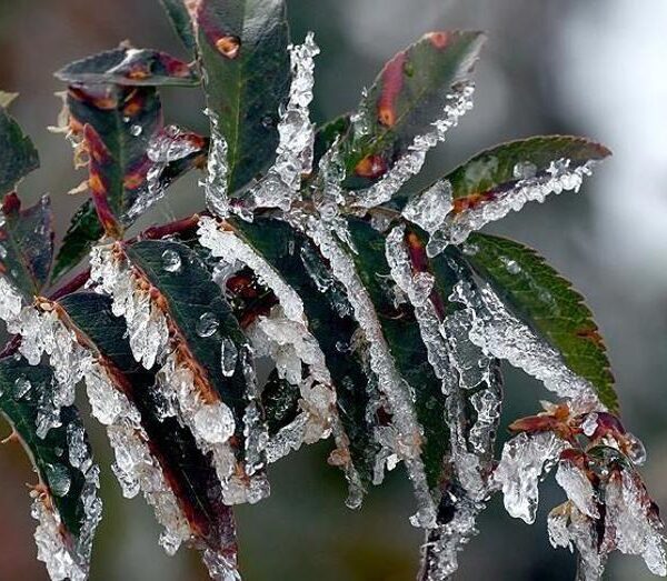 Tarım Üreticilerine 22,9 Milyar Lira Destek Müjdesi