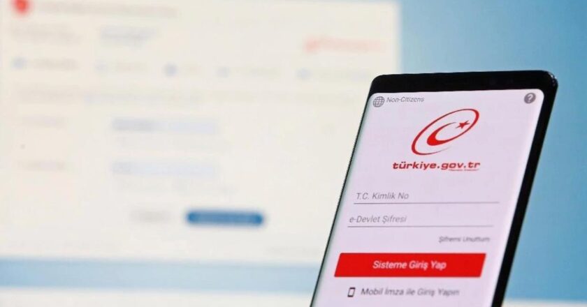 E Devlet sisteminde çoğu kişinin bilmediği hizmetler ilgi topluyor