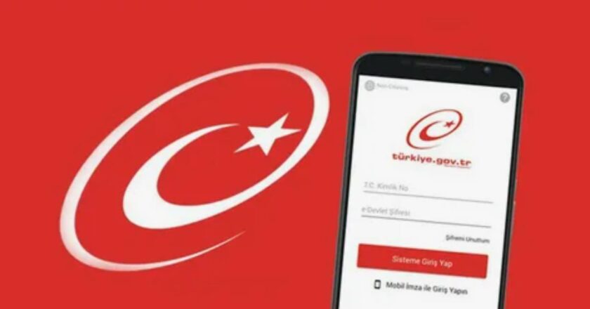 E Devlet platformunda gizli kalan hizmetler merak uyandırıyor